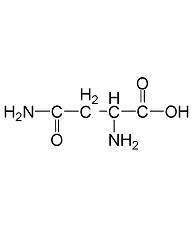 L-(+)-無(wú)水天冬酰胺